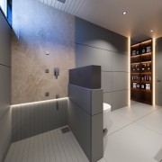 Modern luxurious Bathroom