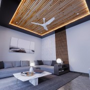 Natural touch Ceiling	