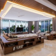 Mid-century modern Living room